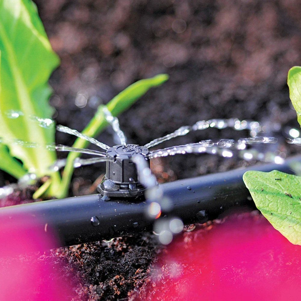 Garden Sales Store -Garden Sales Store 5010646040488 2