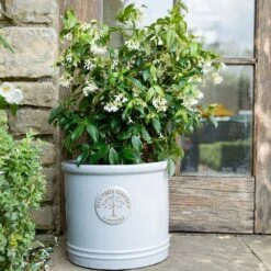 Woodlodge 38cm White / Cream Glazed Heritage Cylinder Pot -Garden Sales Store 5021346424430