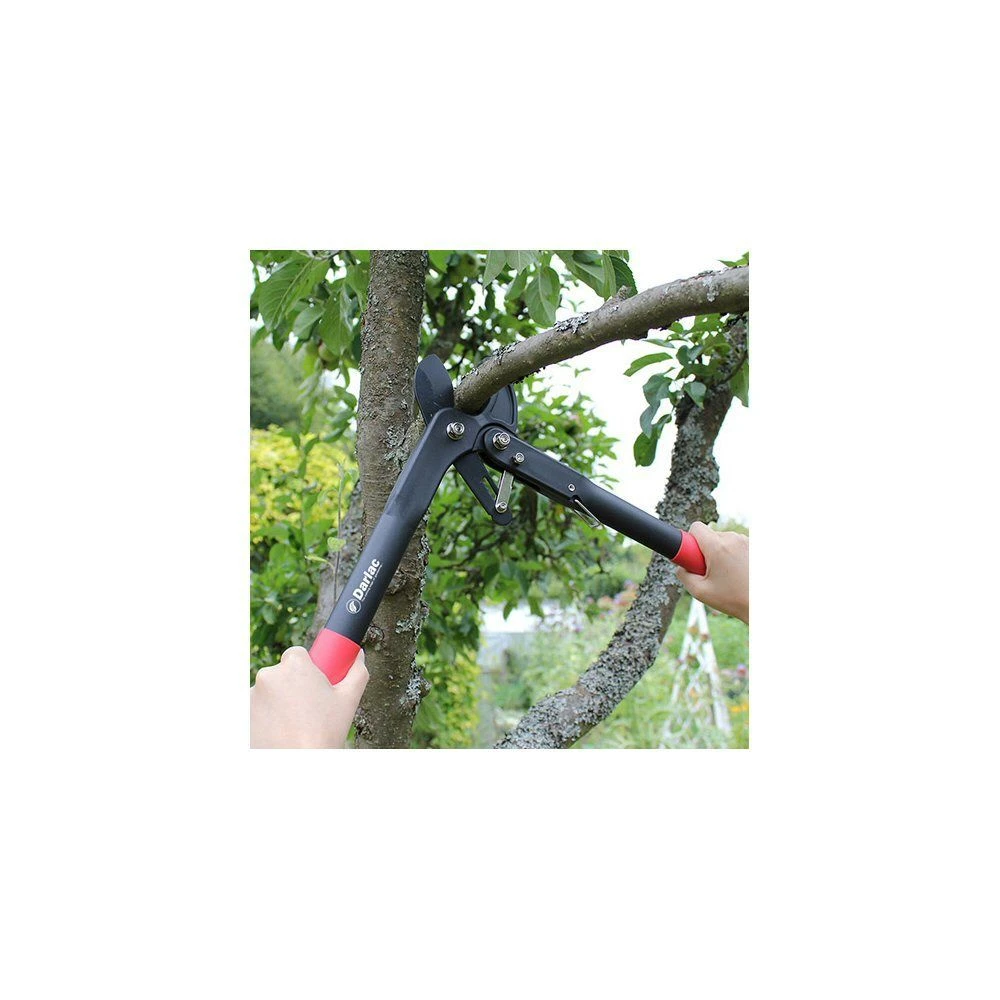 Darlac Handy Ratchet Lopper 2 Darlac Handy Ratchet Lopper - Image 2