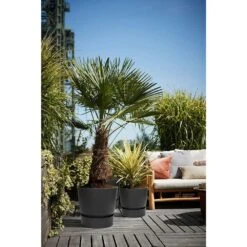 Elho 25cm Living Black Greenville Round Planter -Garden Sales Store 8711904332334 5