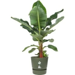 Garden Sales Store -Garden Sales Store 8711904332433 2