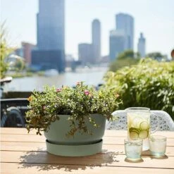 Elho 33cm Leaf Green Greenville Bowl Planter -Garden Sales Store 8711904332464 4