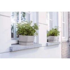 Elho 50cm Living Concrete Greenvillle Long Trough Planter 8 Elho 50cm Living Concrete Greenvillle Long Trough Planter -Garden Sales Store 8711904358440 4